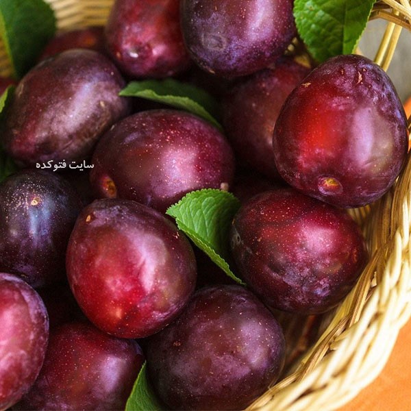 چاقی با میوه آلو