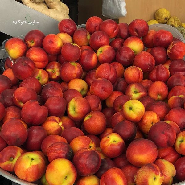 شلیل از جمله چاق کننده ترین میوه ها برای بصورت و بدن
