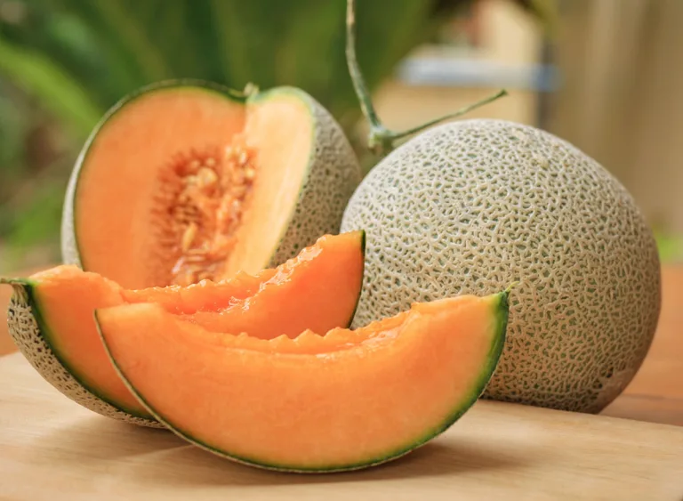 طالبی از جمله میوه های کم کربوهیدرات