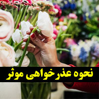 نحوه عذرخواهی موثر + عذرخواهی از همسر ، دوست و همکار
