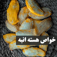 هسته انبه + ۱۴ خواص هسته انبه برای سلامتی