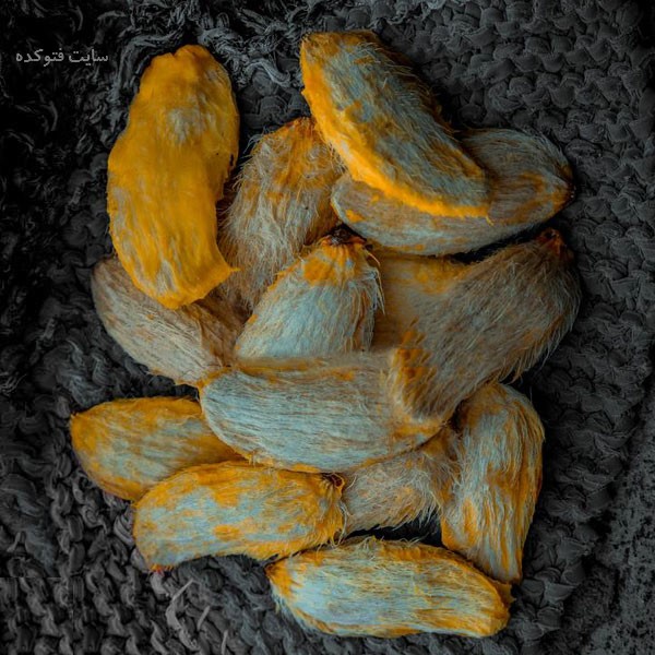 مغز هسته انبه برای چی خوبه