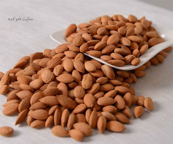 مغز هسته زردآلو چه فوایدی و خواصی دارد