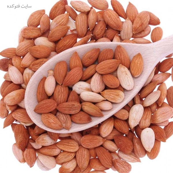 مضرات مغز هسته زردآلو در بارداری و دوران شیردهی مادران