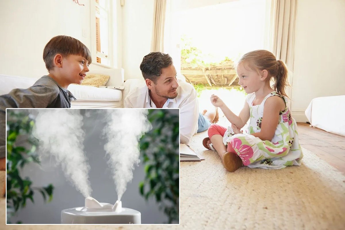 چه راه‌هایی برای بهبود کیفیت هوای داخل خانه وجود دارد؟