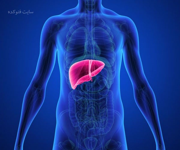 پاکسازی کبد با طب سنتی و 15 روش موثر در خانه