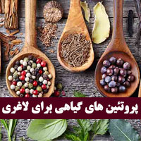 پروتئین های گیاهی برای لاغری و کاهش وزن بدن چیست