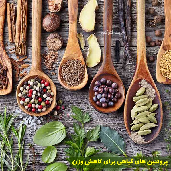 پروتئین های گیاهی کاهش وزن