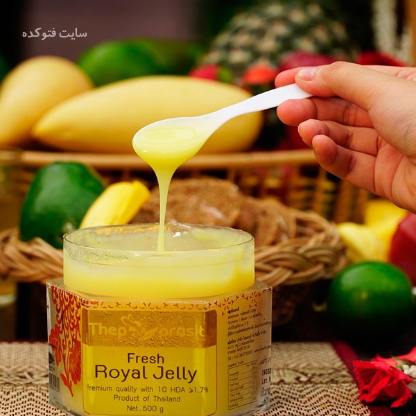 تمام خواص ژل رویال برای سلامتی با نحوه تشخیص ژل رویال اصل