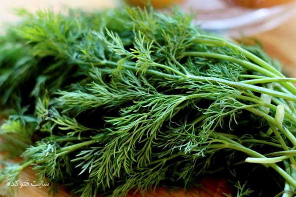 کاهش وزن با شوید