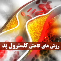 کاهش کلسترول خون بالا + ۴۳ روش کاهش کلسترول LDL در خانه