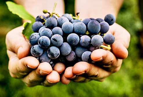 انگور میوه ای با بیشترین قند