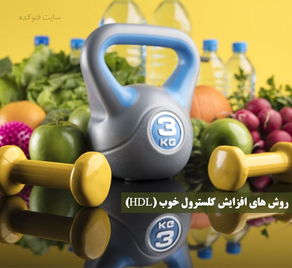 کلسترول خوب چقدر باید باشد + روش بالا بردن کلسترول HDL