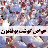 خواص گوشت بوقلمون برای سلامتی + مضرات