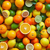 ۱۲ مورد از میوه های آبدار در ایران با خاصیت های علمی