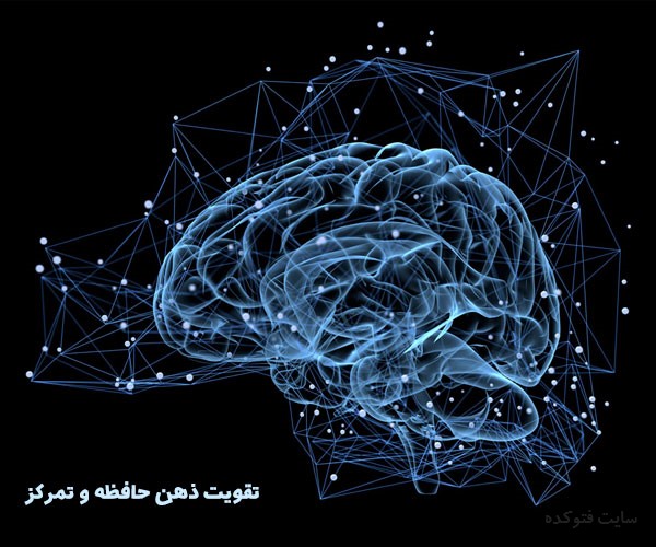 مواد غذایی برای افزایش تمرکز و تقویت ذهن