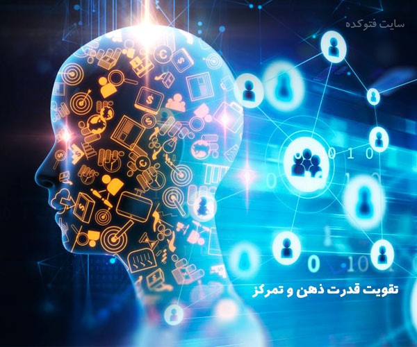 برای افزایش تمرکز چی بخوریم و مواد غذایی تقویت هوش