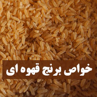 خواص برنج قهوه ای برای لاغری، پوست و بدنسازی