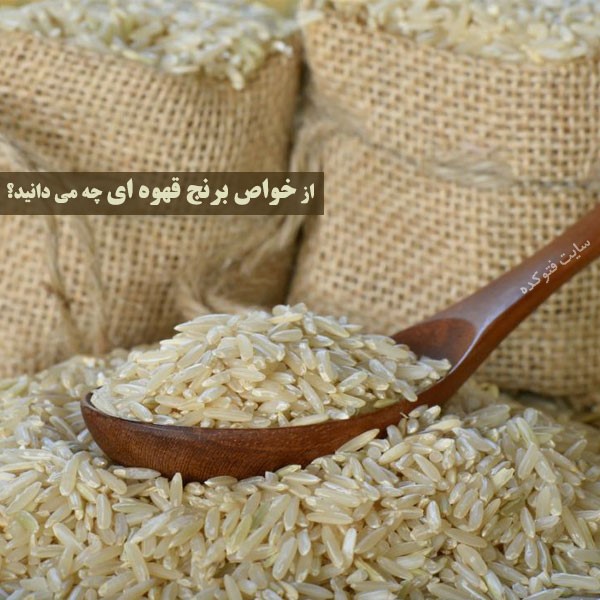 برنج قهوه ای برای بدنسازی چه خواصی دارد