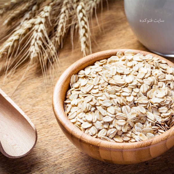 غذای مناسب بدنسازی جو دوسر