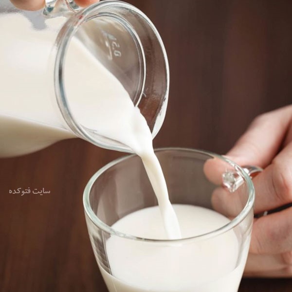 غذای مناسب بدنسازی شیر