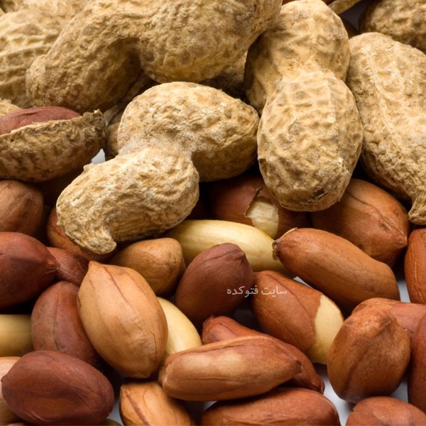 برنامه غذایی بدنسازی