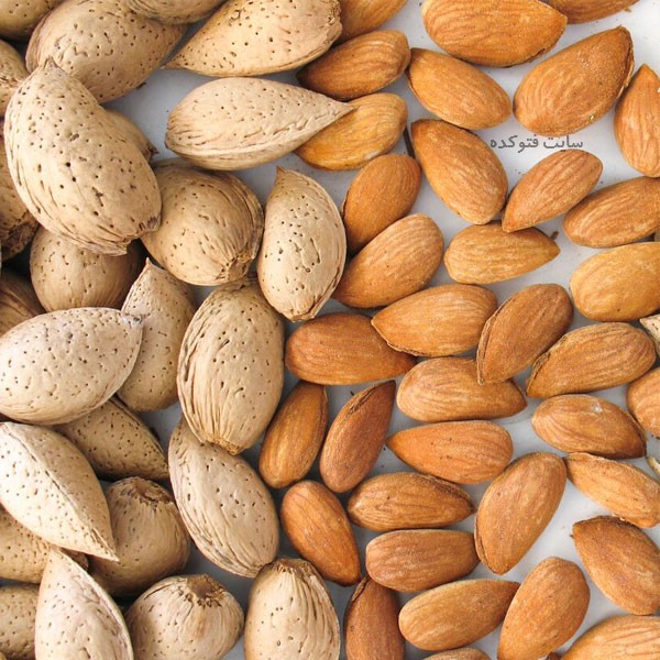 برنامه غذایی بدنسازی
