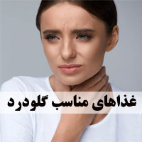 ۲۴ مواد غذایی مفید برای گلودرد + غذای مناسب گلودرد