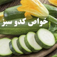 خواص کدو سبز برای لاغری و سلامتی بدن