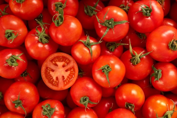 گوجه فرنگی از مهمترین سبزیجات آبدار برای بدن