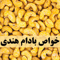 ۳۰ خواص بادام هندی برای معده، مردان و زنان حامله