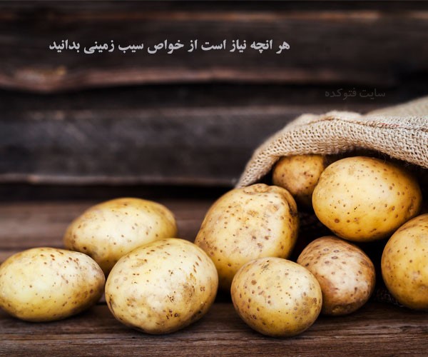 سیب زمینی در بدنسازی و لاغری