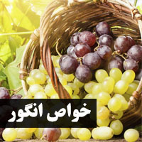 خواص انگور برای سلامتی + پوست، بارداری و کودکان