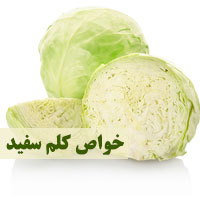 خواص کلم سفید برای لاغری و پوست + کبد و بارداری
