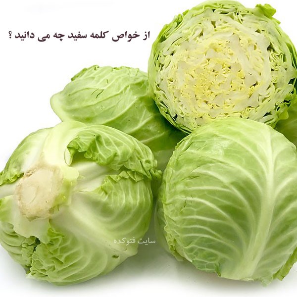 کلم سفید برای پوست و مو و بارداری چیست