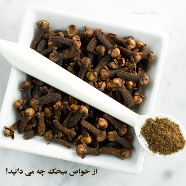 فواید میخک برای لاغری و پوست و مو