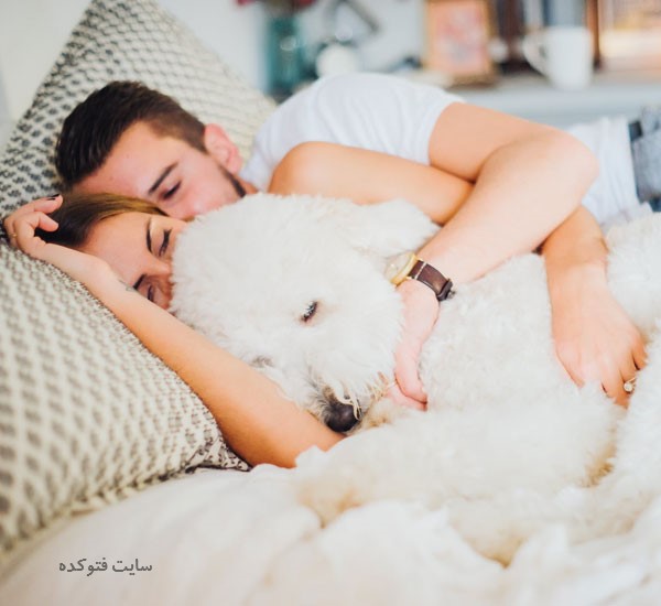 راه و روش زود خوابیدن